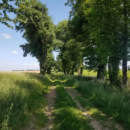 Alojamento de Acomodação e Pequeno-almoço La Vieille Gorce In The Vienne 3*