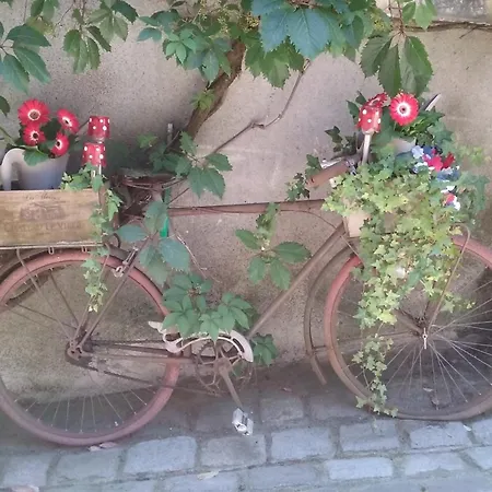 Alojamento de Acomodação e Pequeno-almoço La Vieille Gorce In The Vienne Asnois (Vienne)