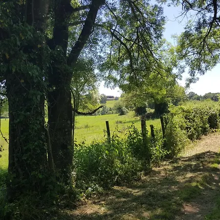 La Vieille Gorce In The Vienne 3*