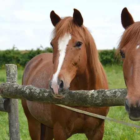 Alojamento de Acomodação e Pequeno-almoço La Vieille Gorce In The Vienne Asnois (Vienne)