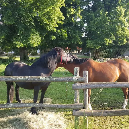 La Vieille Gorce In The Vienne Отель типа 
