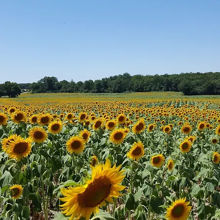 La Vieille Gorce In The Vienne Alojamento de Acomodação e Pequeno-almoço 3*