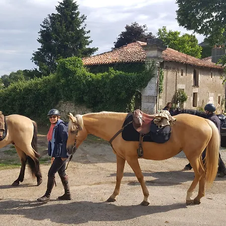 La Vieille Gorce In The Vienne
