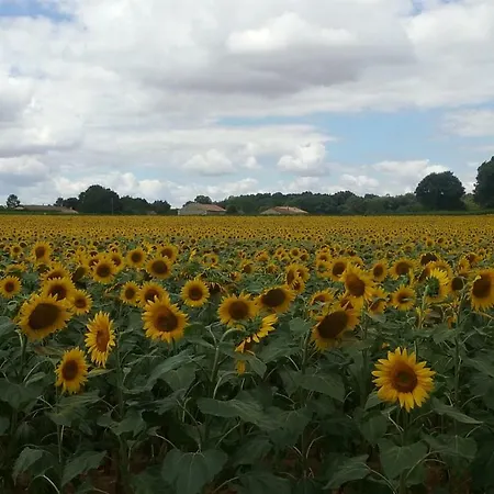 Alojamento de Acomodação e Pequeno-almoço La Vieille Gorce In The Vienne
