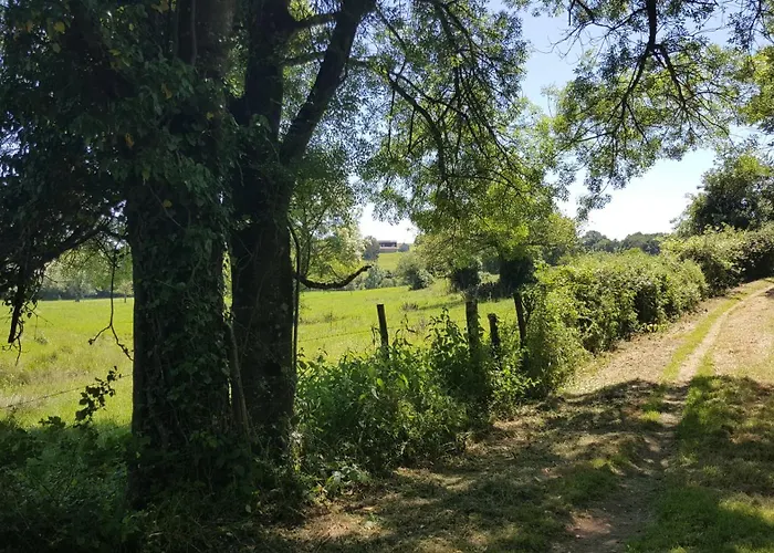 La Vieille Gorce In The Vienne 3*