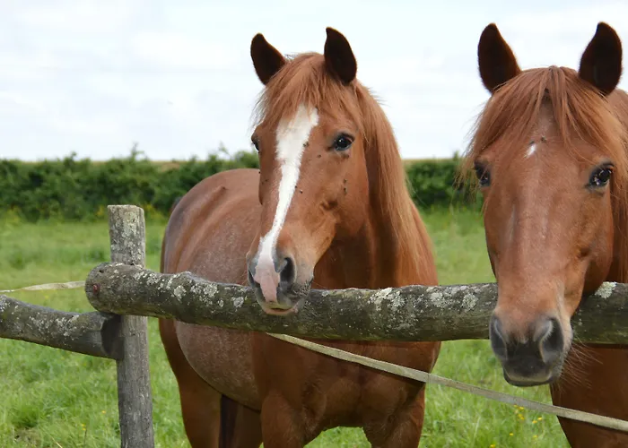 Bed and Breakfast La Vieille Gorce In The Vienne Asnois (Vienne)