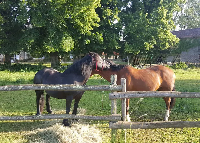 La Vieille Gorce In The Vienne Bed and Breakfast 3*