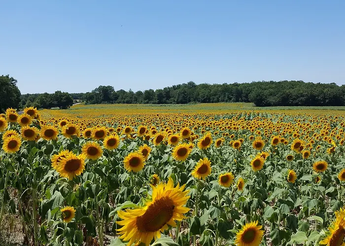 La Vieille Gorce In The Vienne Bed and Breakfast 3*