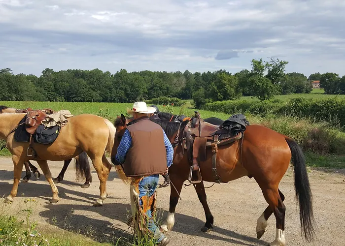 Bed and Breakfast La Vieille Gorce In The Vienne