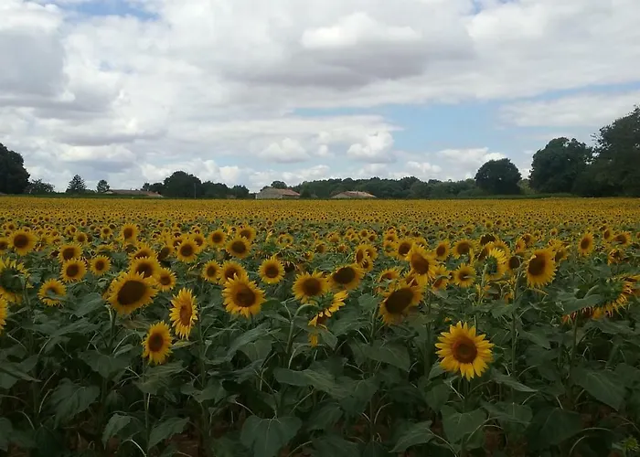 Bed and Breakfast La Vieille Gorce In The Vienne